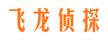 岭东飞龙私家侦探公司